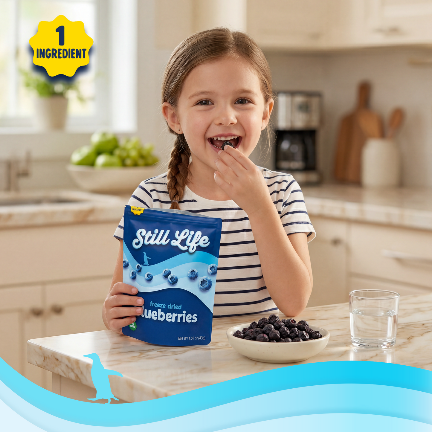 Freeze Dried Organic Blueberries