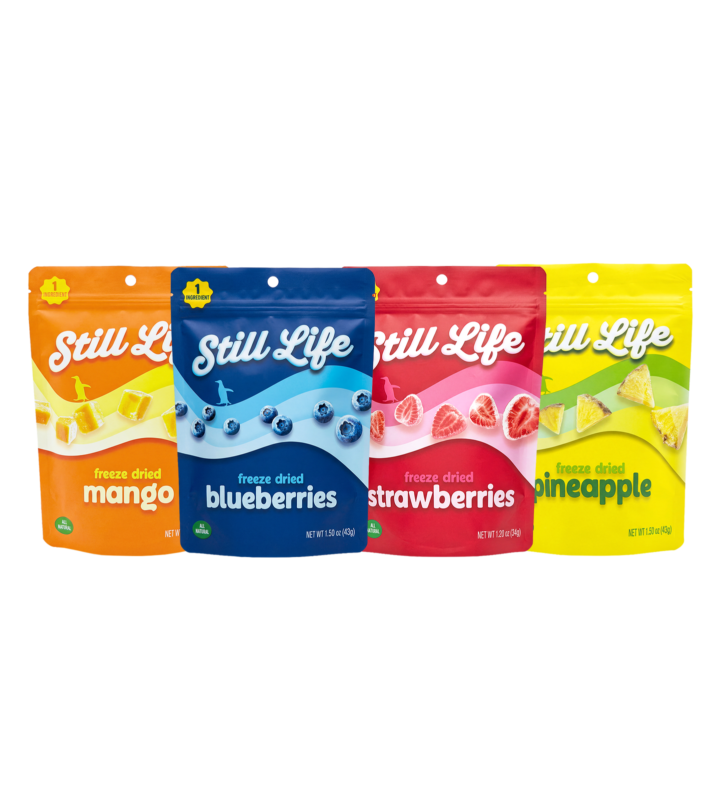 Still Life Sampler (Pack of 4)