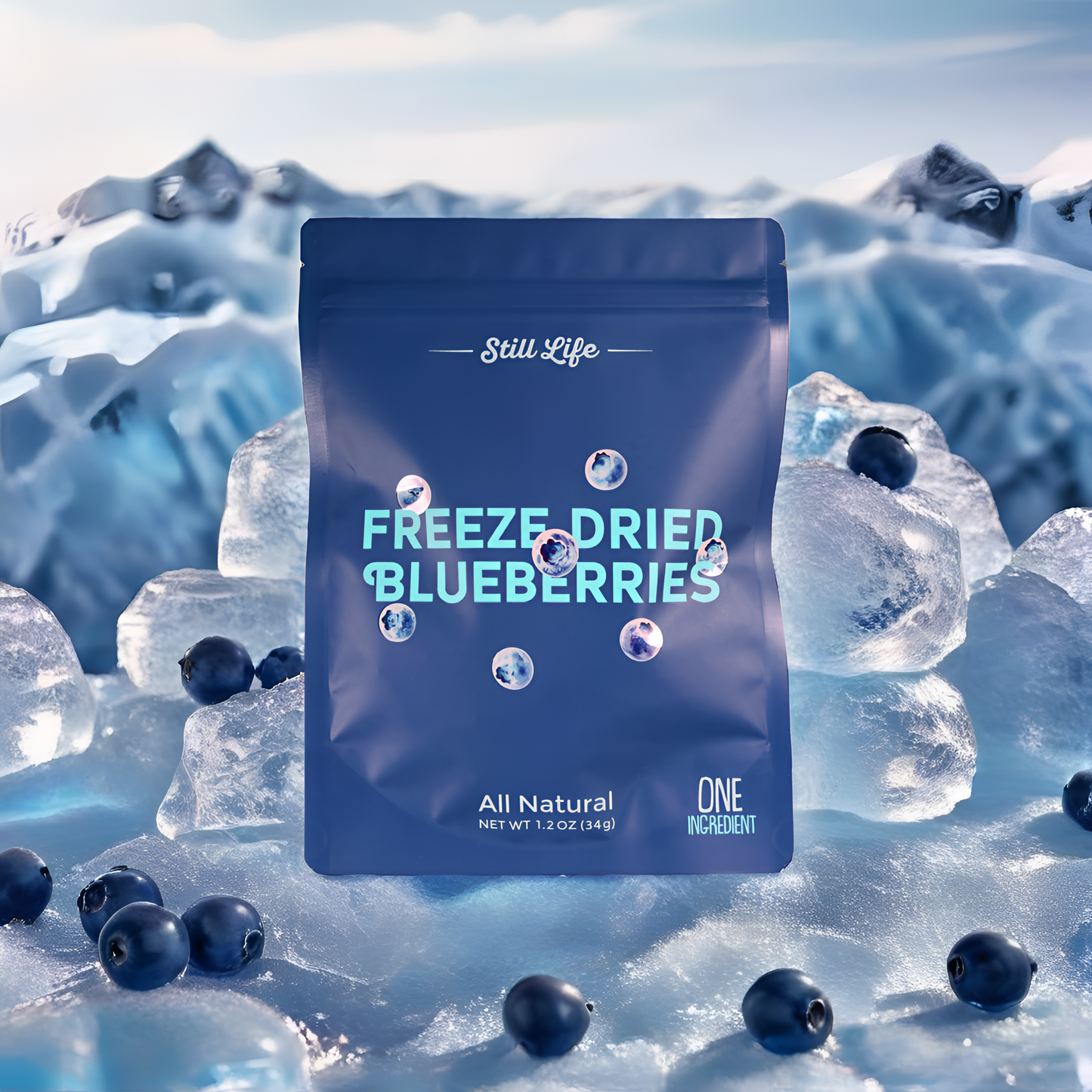 Freeze Dried Organic Blueberries